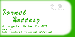 kornel mattesz business card